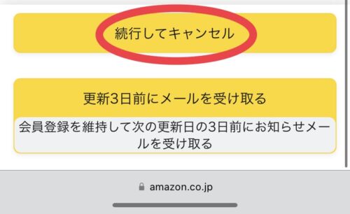 続行してキャンセル
