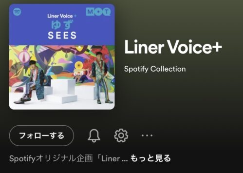 Liner Voice