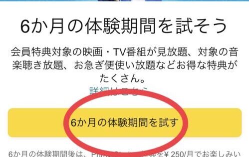 6ヶ月の体験期間を試す