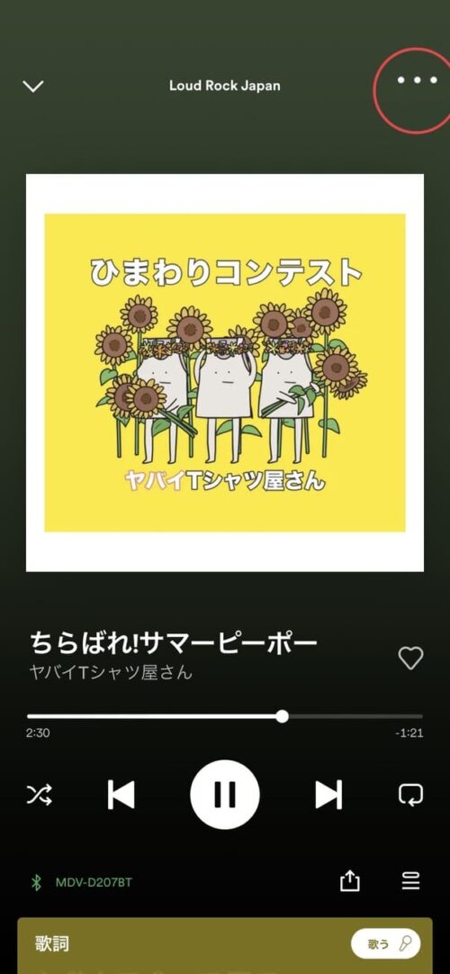 散らばれサマーピーポー