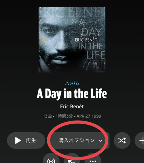 購入オプション