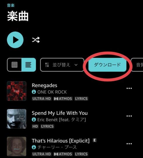 ダウンロード済み楽曲