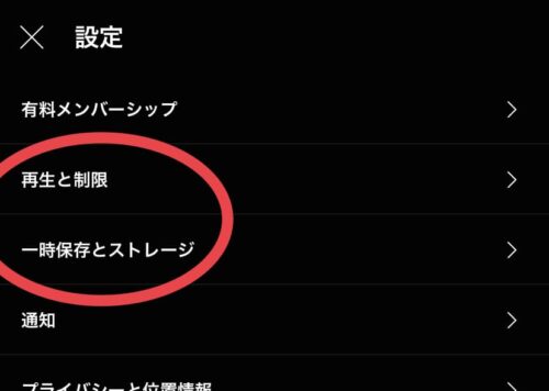 再生と制限、一時保存とストレージ