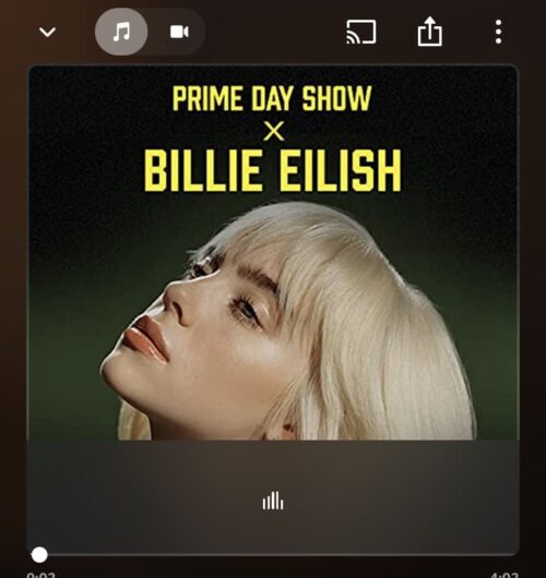 Prime Day Billie Eilish